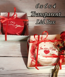 Transparent Lid Box - 6 x 6 x 4