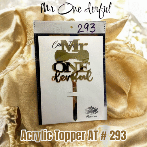 Acrylic Topper AT # 293 (Mr ONE derful)