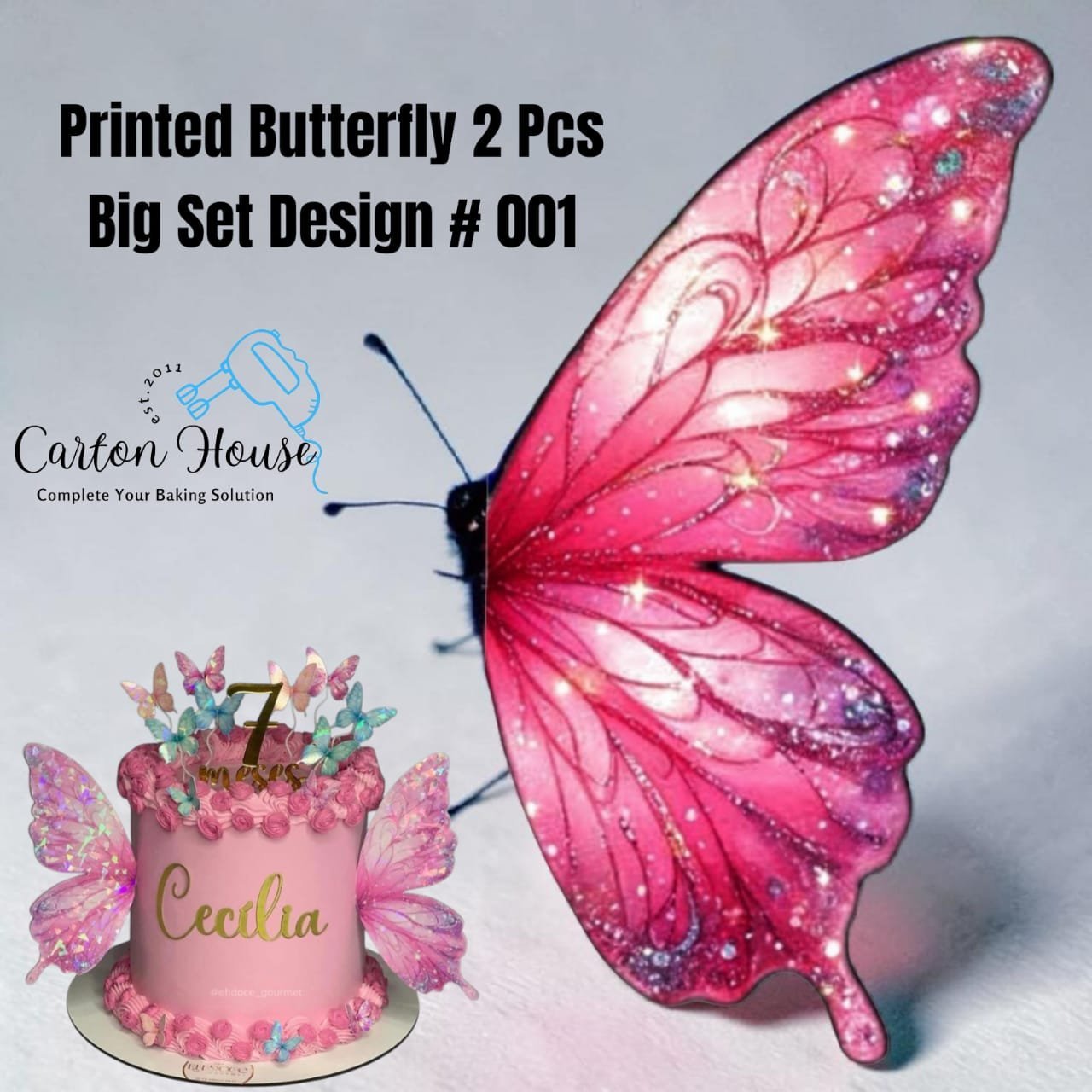Printed Butterfly 2 Pcs Big Size Set