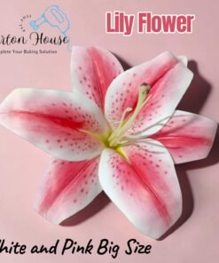 Lily Flower - White and Pink Big Size