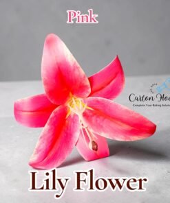 Lily Flower - Pink