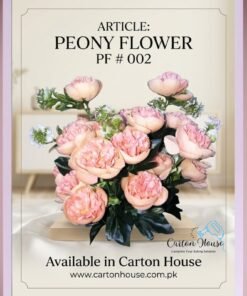 Peony Flower